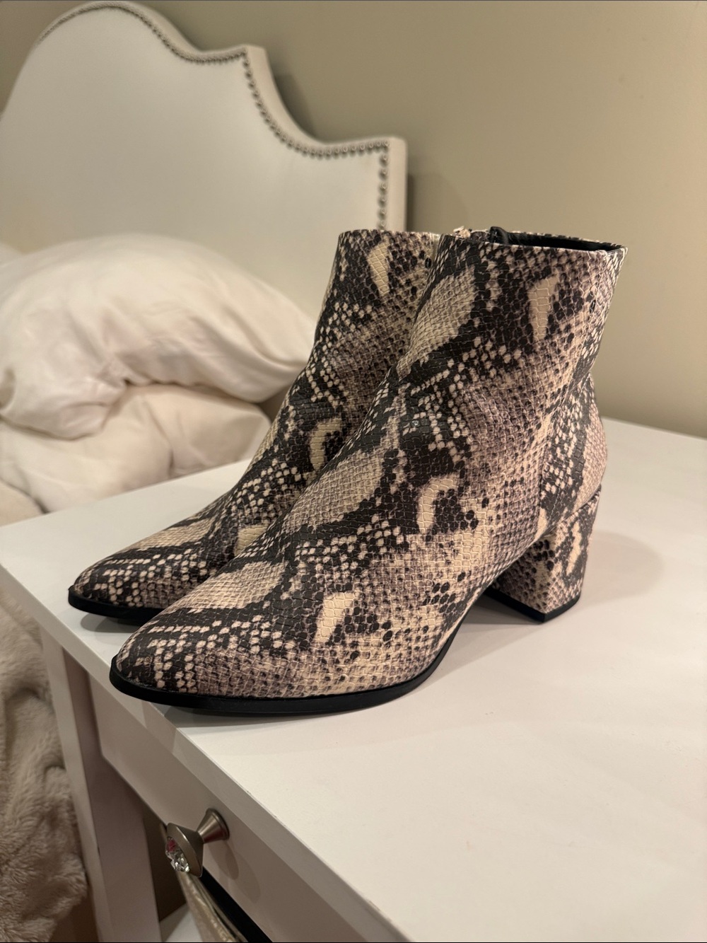 Madden Girl Snake-Print Pointed Toe Ankle Boots in Beige and Black